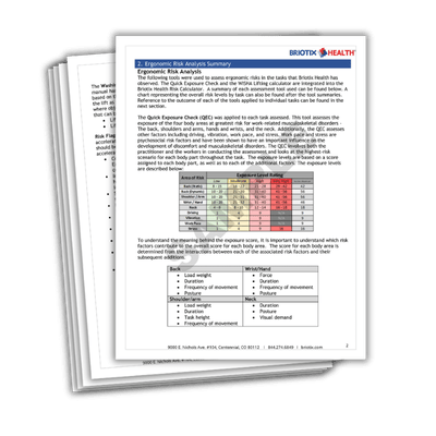 SAMPLE Industrial Ergonomic Assessment Report Preview - p3 (small)