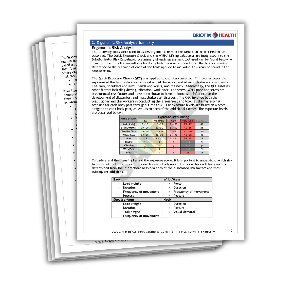 SAMPLE Industrial Ergonomic Assessment Report Preview - p3 (1)